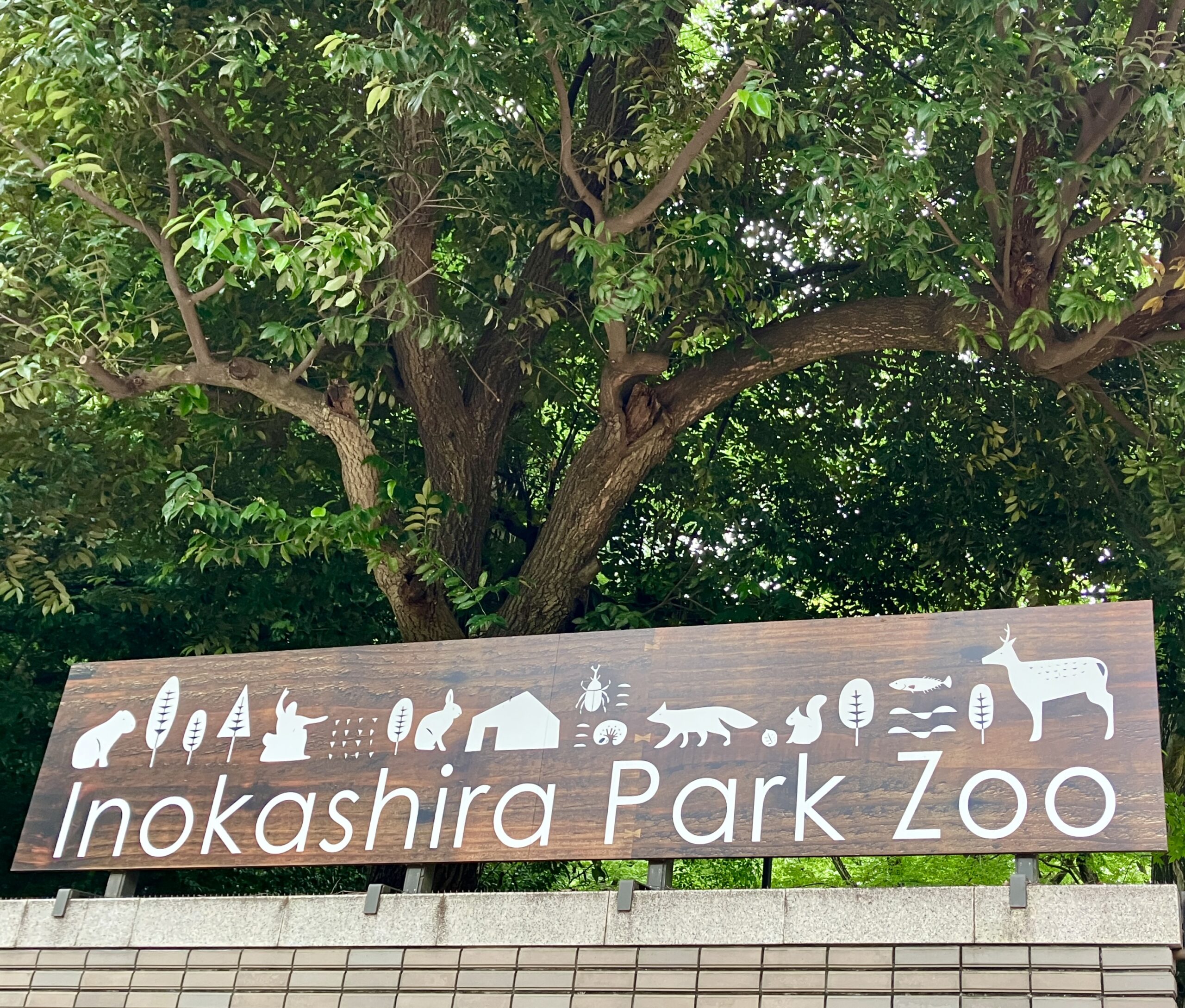 井の頭自然文化園へ行ってきました‼️