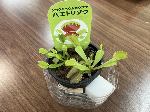 LiimoCafé　趣味を紹介し合うカフェタイム