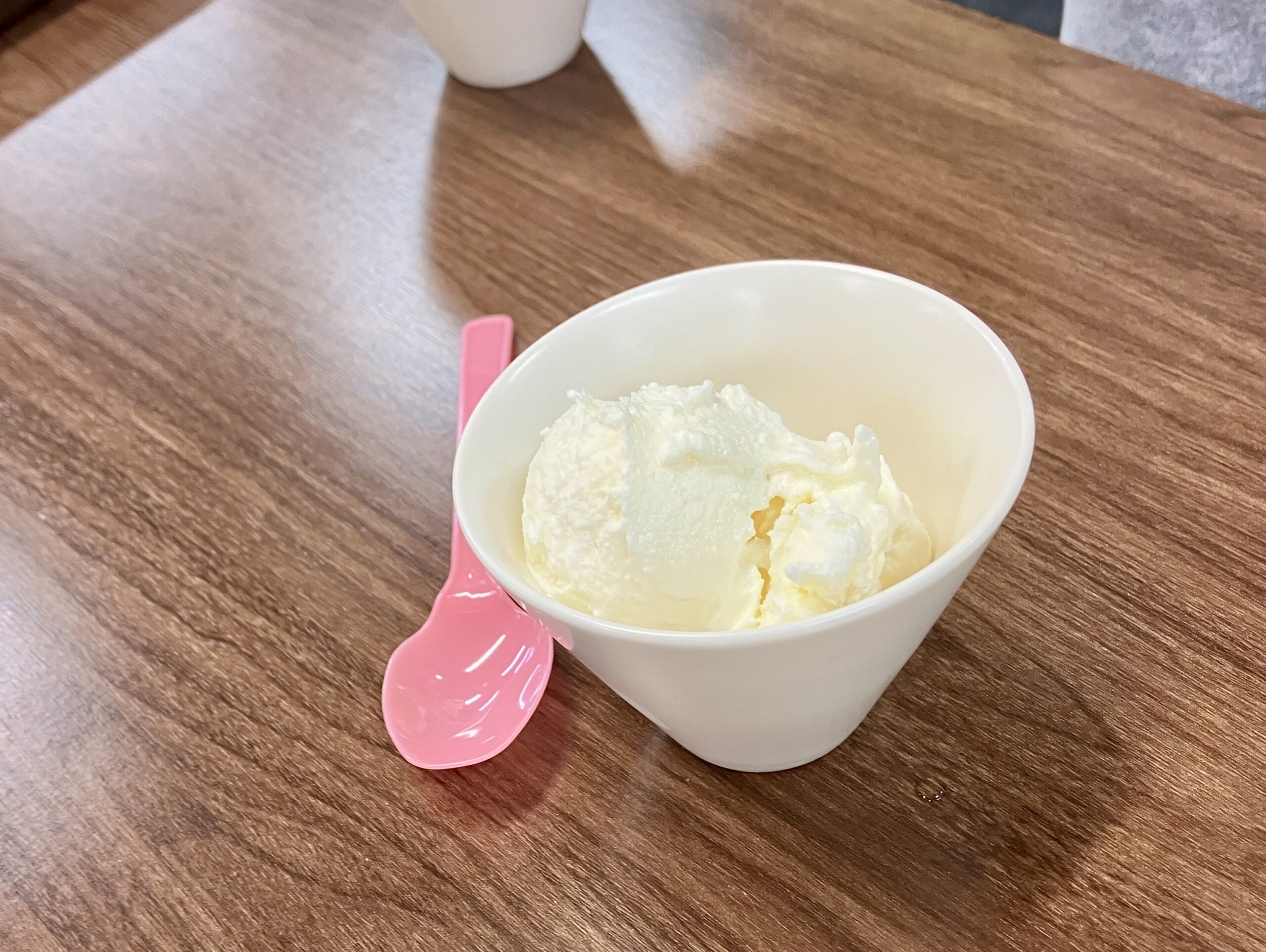 調理イベント・時短アイスクリーム作りに挑戦しました🍨