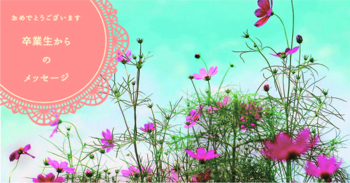 2025年11月21日就職『自分のスキルが最大限に活かせる職場にやっと出会いました。』