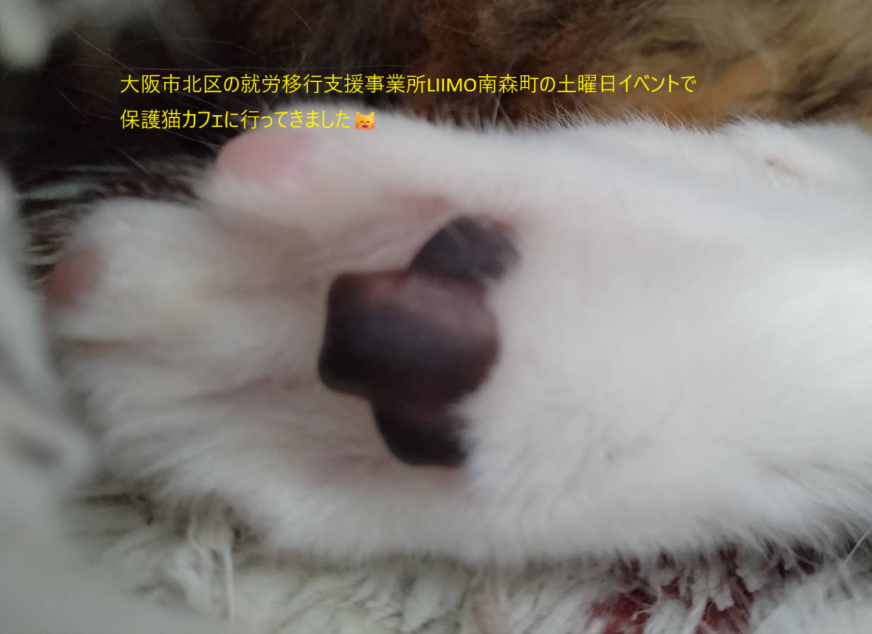 『どうぶつ好きなLIIMO南森町』