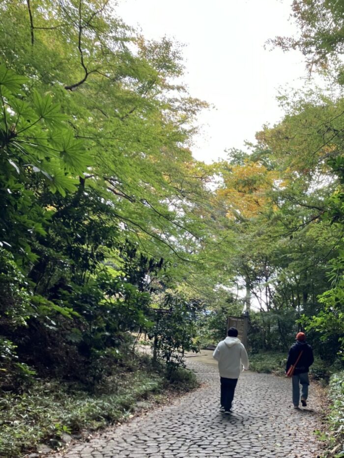 滄浪泉園へのウォーキングを行いました🚶➡️