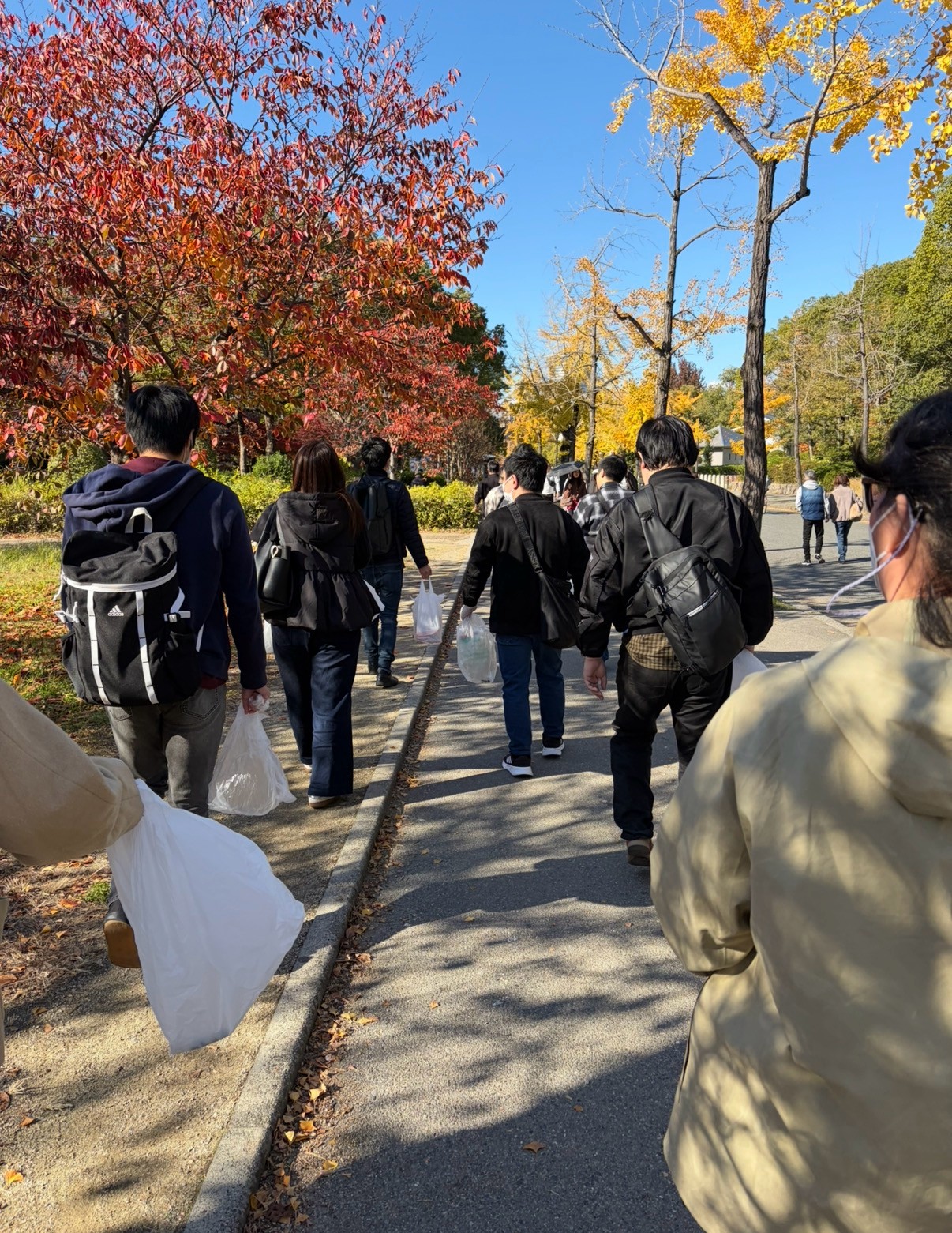 いちょう並木の下で、童心にかえる