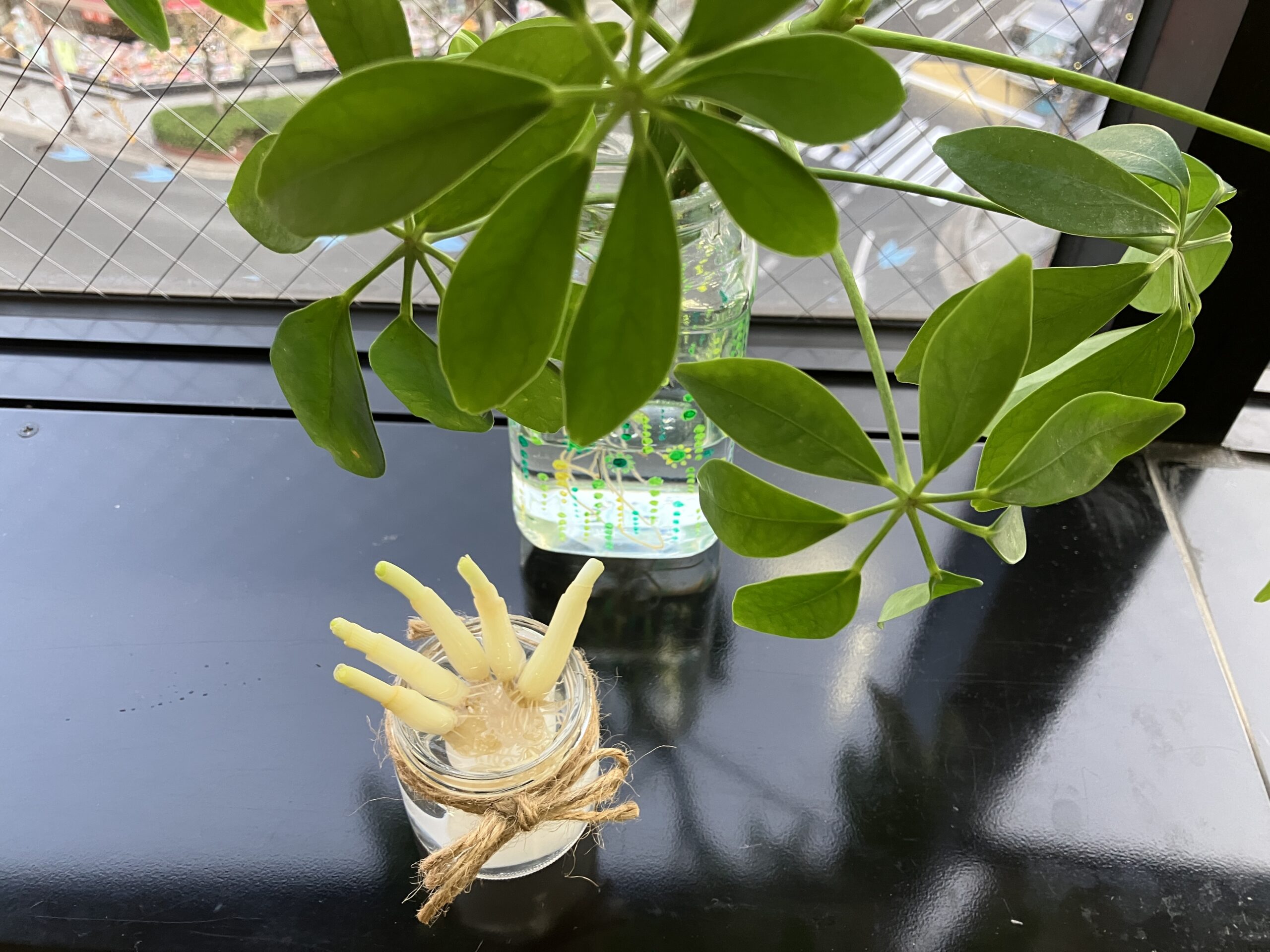 「毎日の楽しみを増やす方法」