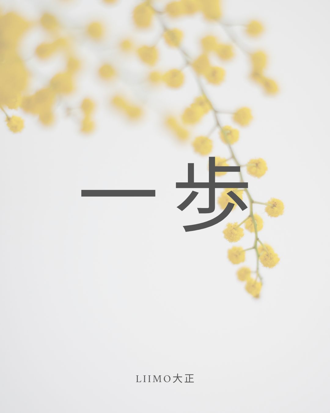 実習で広がる可能性