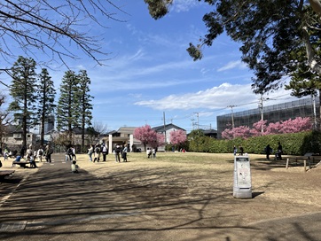 井の頭自然文化園🌳で春の先取りお散歩🌸