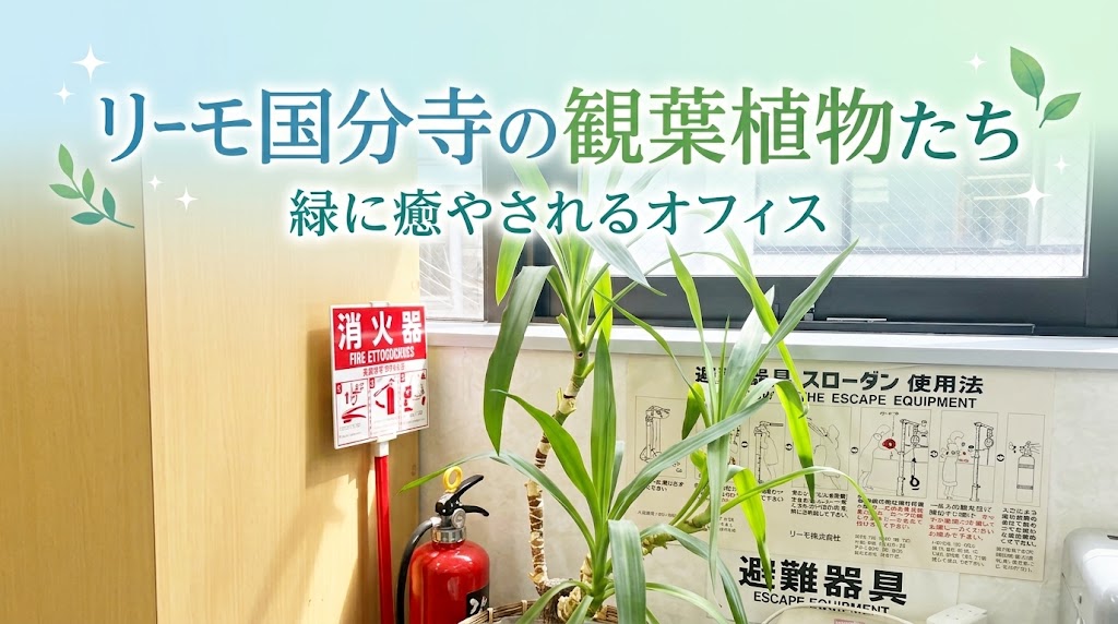 【事業所紹介】緑がいっぱいで心が和む空間&LIIMO国分寺の観葉植物たちをご紹介!